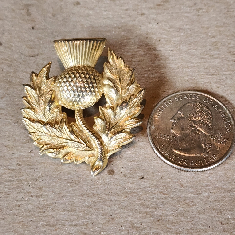 Scottish thistle barrette badge pin brooch Mens Jewelry Scotland - Picture 3 of 4